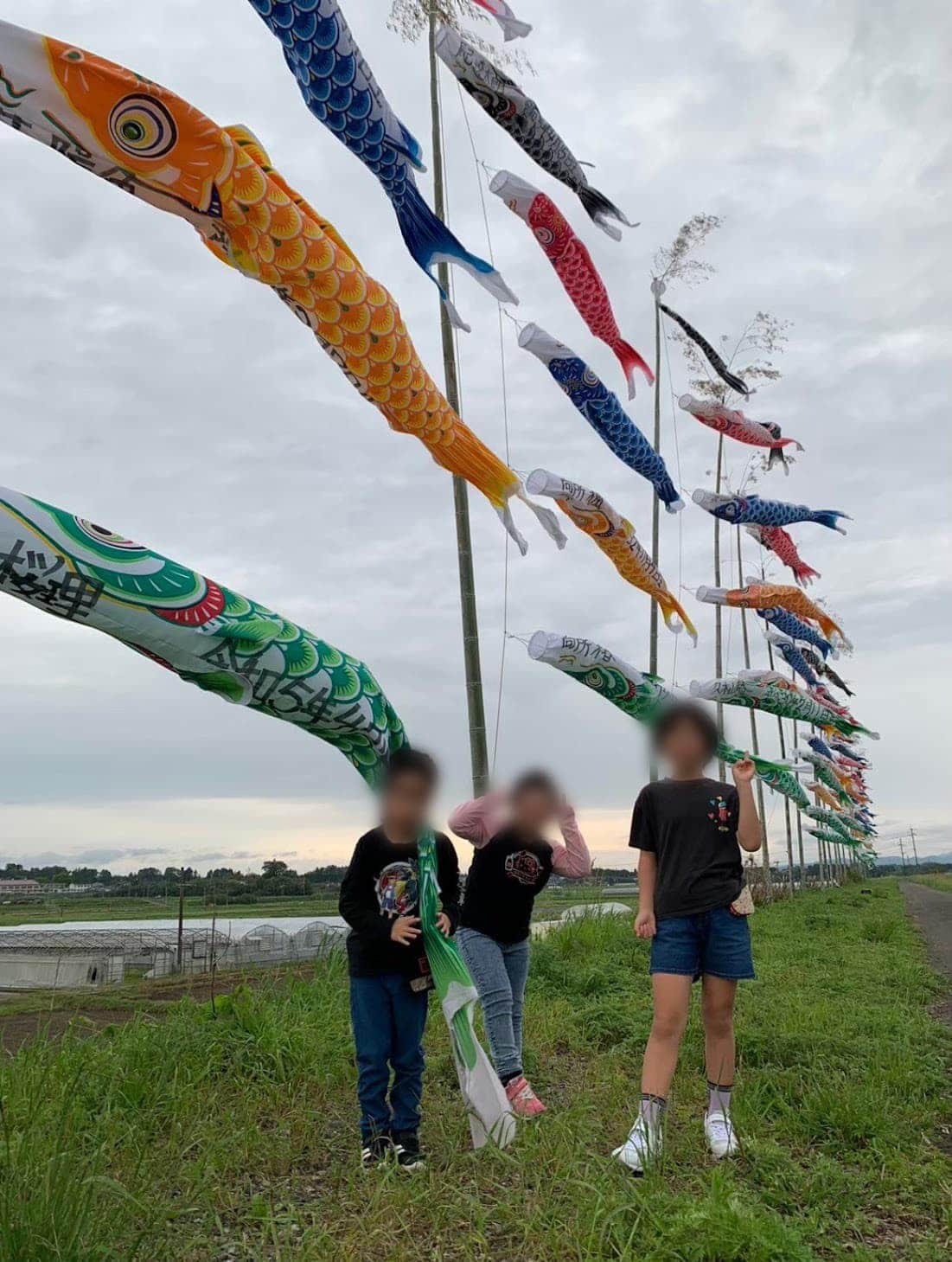 鯉のぼりを見に行ったよの画像